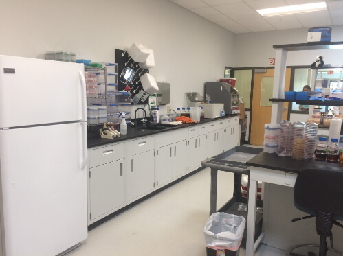 New Lab Counters Before/After