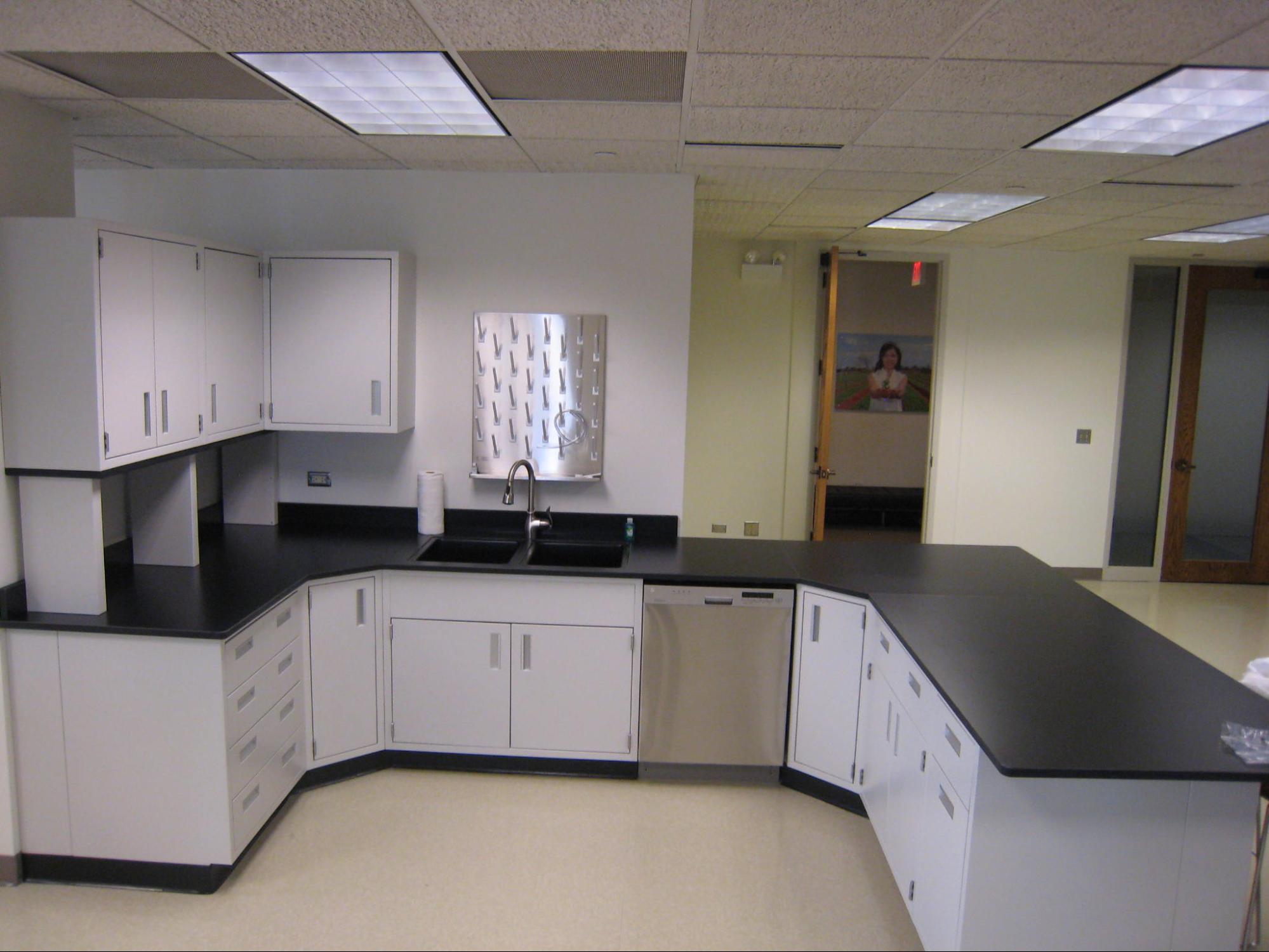Standing height lab countertops and casework 