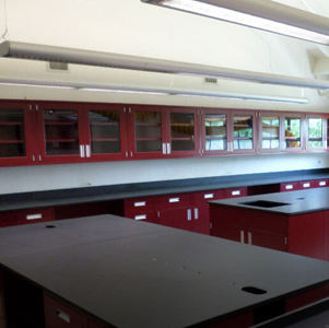Cost-effective & efficient lab surface design & installation