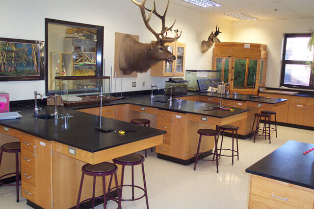 oak lab furniture